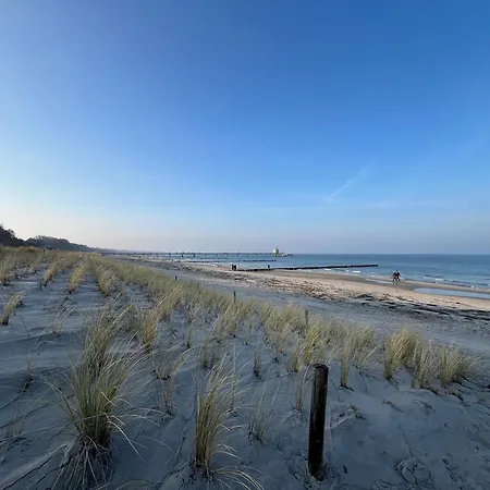Windfluechter * Zingst