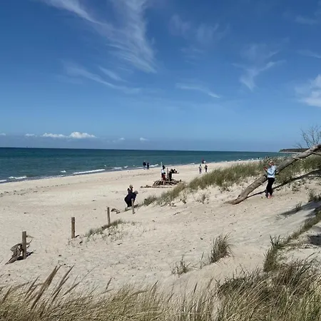 Windfluechter Zingst