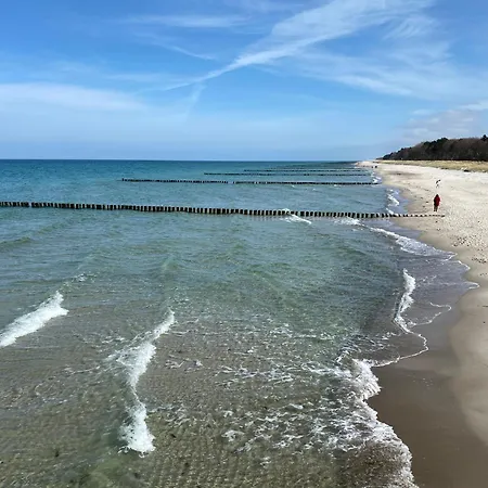 Windfluechter * Zingst